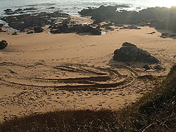 plage ravag par les tractopelles.