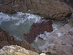 nappe (3m de diamtre) dans une crique de la Cte sauvage  Quiberon