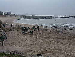 bnvoles nettoyant les plages (Piriac, Lrat - 12/01/2000)